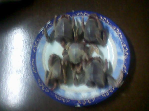 Photo 0007