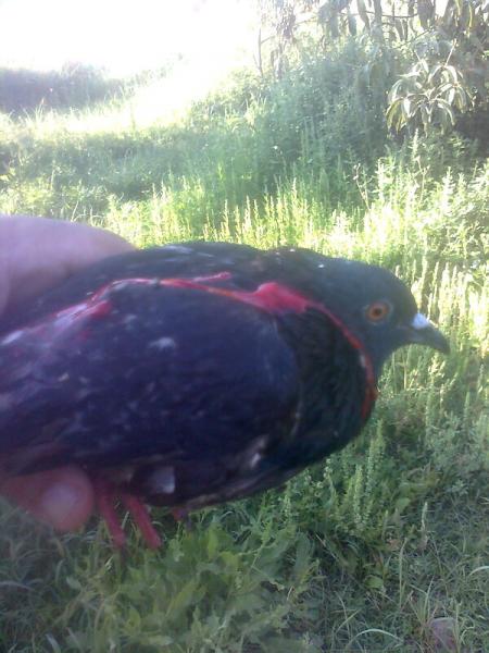 ����� ����� �����
�������� ���� ��� ����� ���� ����