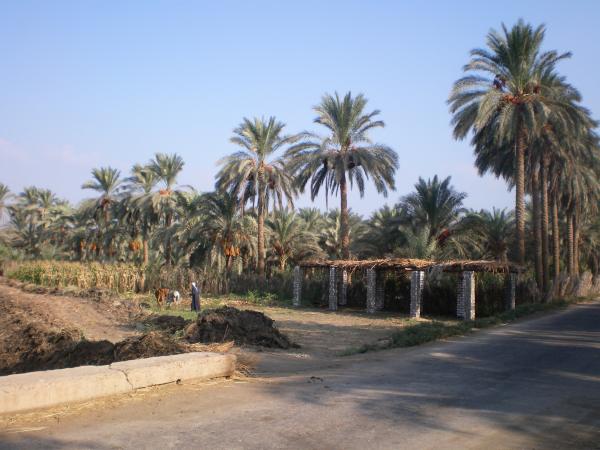samora 006