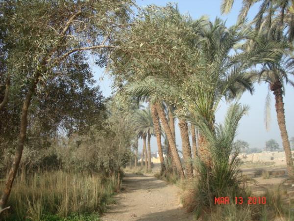 Picture 020