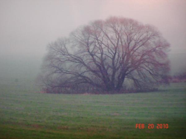 DSC00489