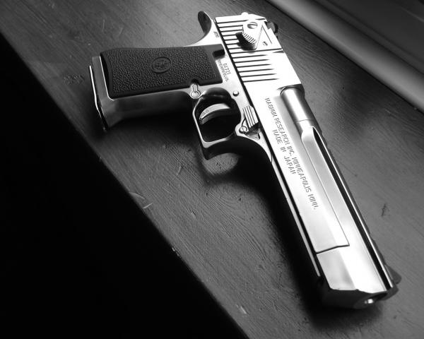 Desert Eagle   photo I by BritanniaWD