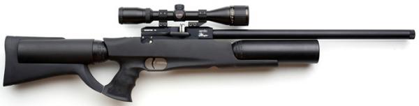 Evanix Monster Pellet Gun Rifle 1