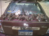 th Picture012 1