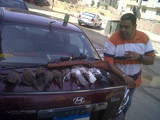 th Picture006 1