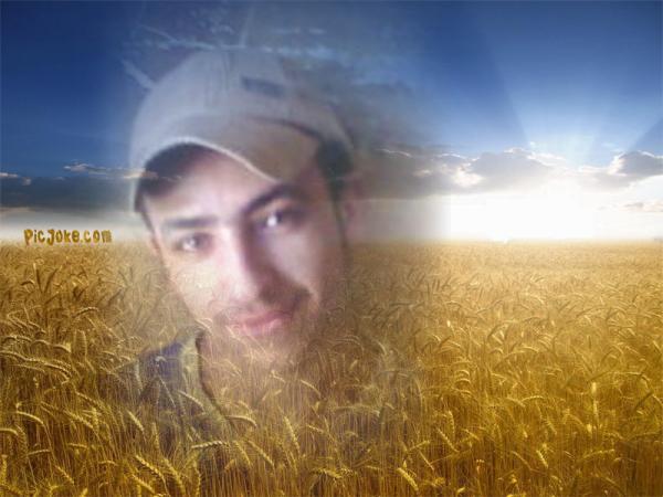 11 en 70fff44c77501b669c4e73411953ed8
