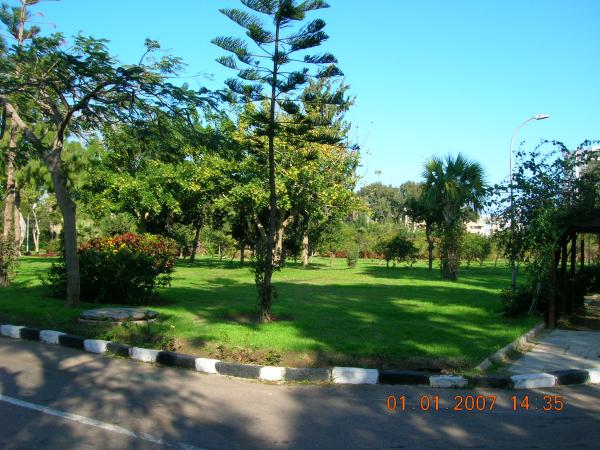 DSCN0396