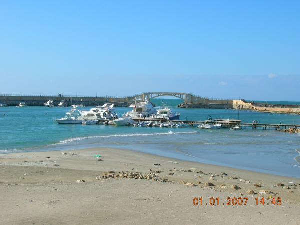 DSCN0398