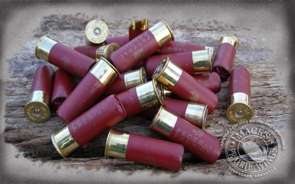 Wallpaper shells 1280 800