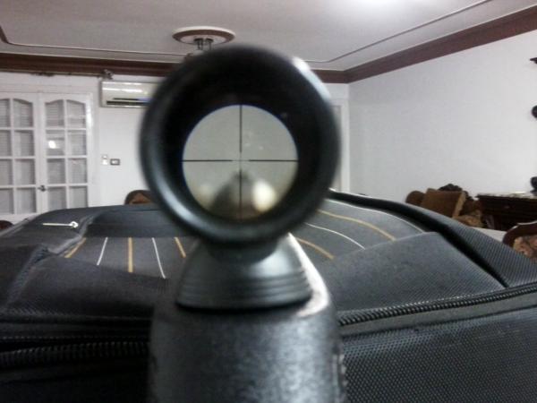 Photo0341