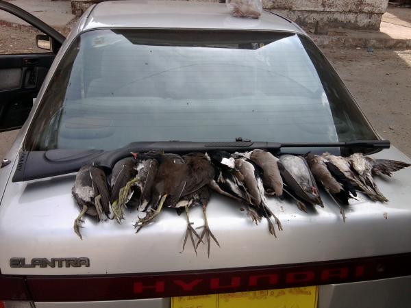 Photo0346