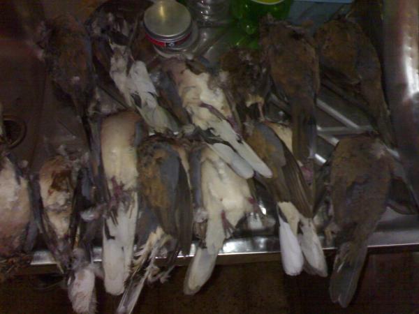 4/6/2010
��� 13 ���� �� ���� ���� ��� ��� 5 �� ���������