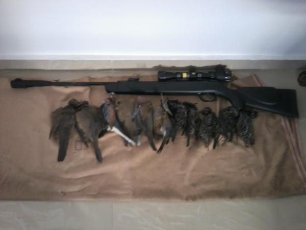 Photo0422