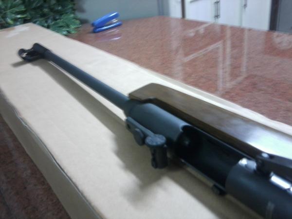 Photo0539
