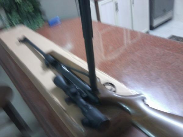 Photo0540