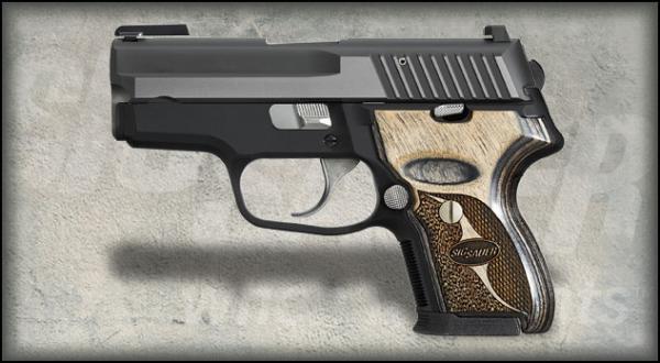 P224 Equinox Hero Detail