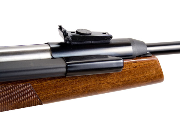 Model54 rearsightz