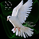 3019054lsqh