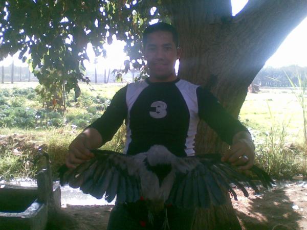 29102010(002)