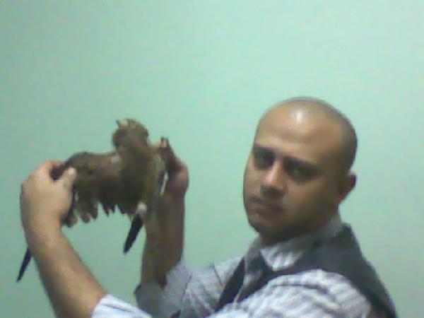 Photo 0021